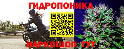 ГАЛЛЮЦИНОГЕННЫЕ ГРИБЫ Кулебаки