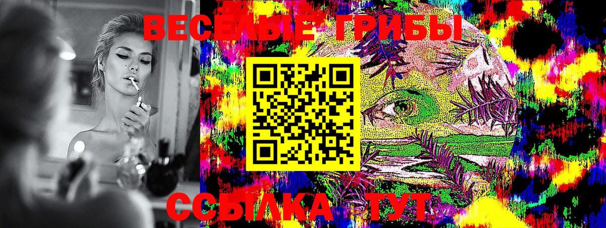 Псилоцибиновые грибы Psilocybine cubensis  Вход с VPN  Знаменск  Псилоцибиновые грибы Cubensis 