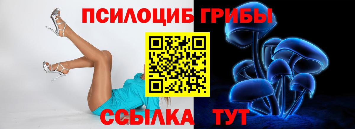 Псилоцибиновые грибы Cubensis Знаменск